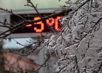 Frio