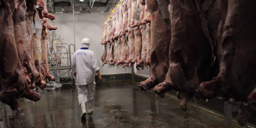 Carne frigorífico