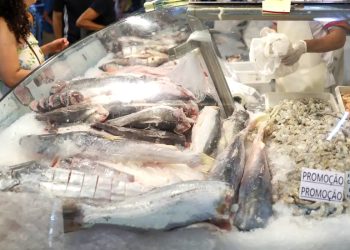 Foto: Fabio Rodrigues-Pozzebom/Agência Brasil