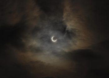 Imagem de opapaty por Pixabay