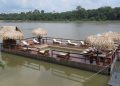 Foto ilustrativa: Juma Amazon Lodge