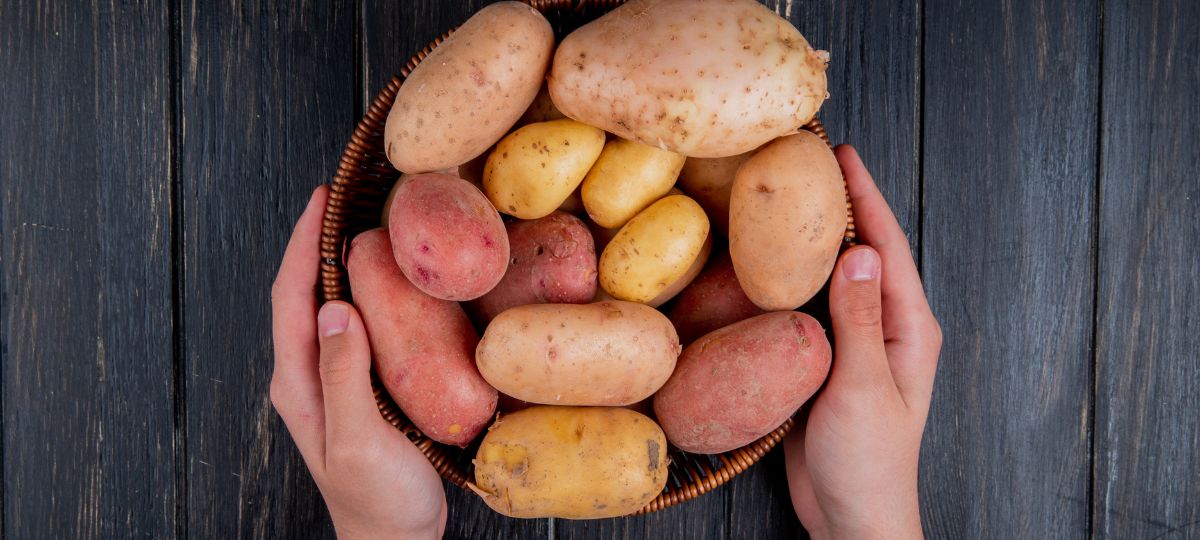 batatas