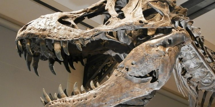 Imagem ilustrativa: Pixabay