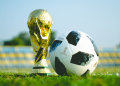 Fifa Copa do Mundo Brasil