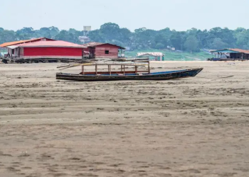 amazonas