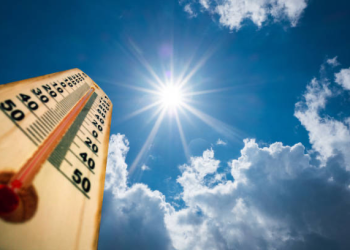 Calor