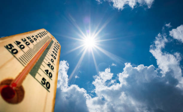 Calor