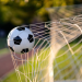 clube futebol