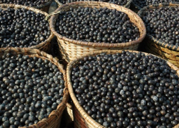 açaí
