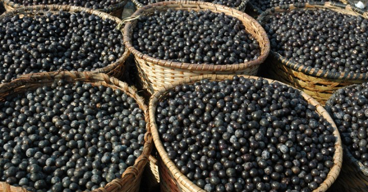 açaí
