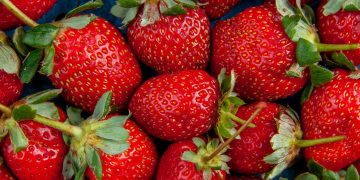 morango