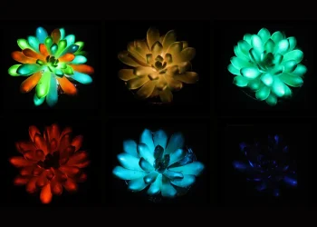 plantas luminosas