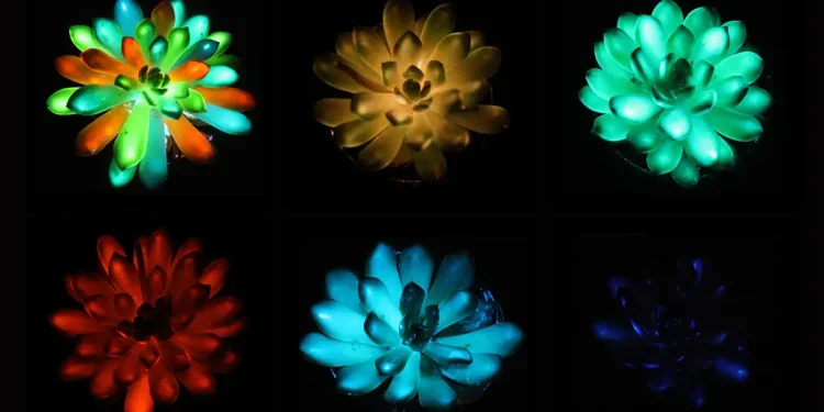 plantas luminosas