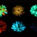 plantas luminosas