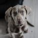 Imagem de Cedric Clth por Pixabay