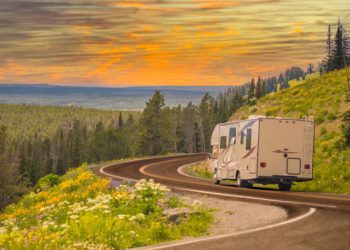 Camper Driving Down Road in The Beautiful Countryside Among Pine Trees and Flowers.