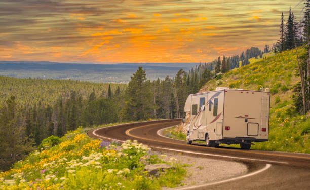 Camper Driving Down Road in The Beautiful Countryside Among Pine Trees and Flowers.