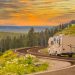 Camper Driving Down Road in The Beautiful Countryside Among Pine Trees and Flowers.