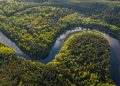 amazônia