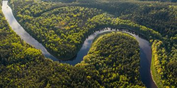amazônia