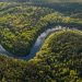 amazônia