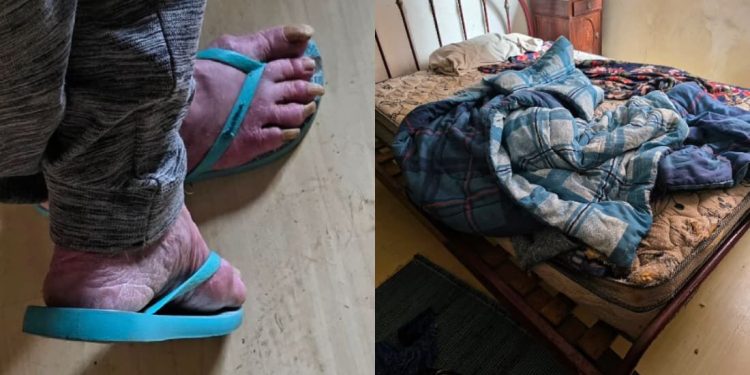 (Fotos: Instagram/@deisefalci/Reprodução)