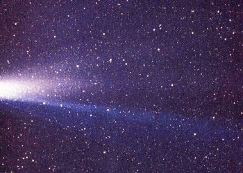 cometa halley