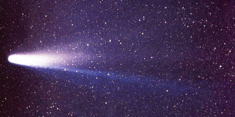 cometa halley