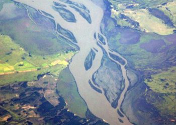 Parte da Floresta Amazônica (Foto: Soichi Noguchi/JAXA)