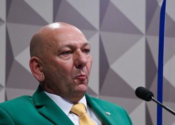 Luciano Hang (Foto: Edilson Rodrigues/Agência Senado)