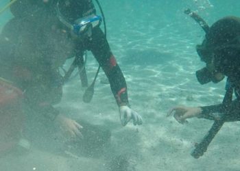 mergulhador moedas fundo do mar