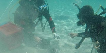 mergulhador moedas fundo do mar