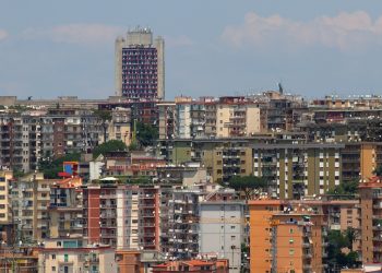 Imagem de Pete por Pixabay