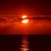 Imagem de Jody Davis por Pixabay