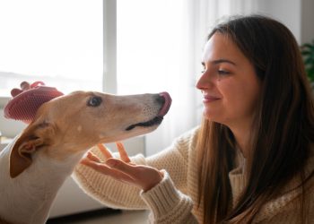 Imagem ilustrativa: Freepik