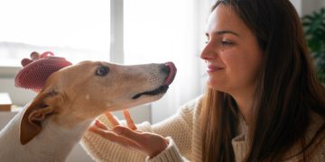 Imagem ilustrativa: Freepik