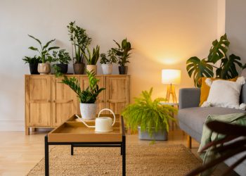 Imagem ilustrativa: Freepik