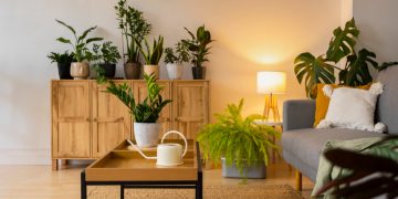 Imagem ilustrativa: Freepik