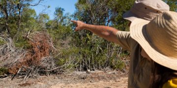 Imagem: wavebreakmedia_micro/Freepik