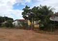 aranas goiás