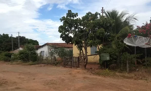 aranas goiás