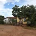 aranas goiás