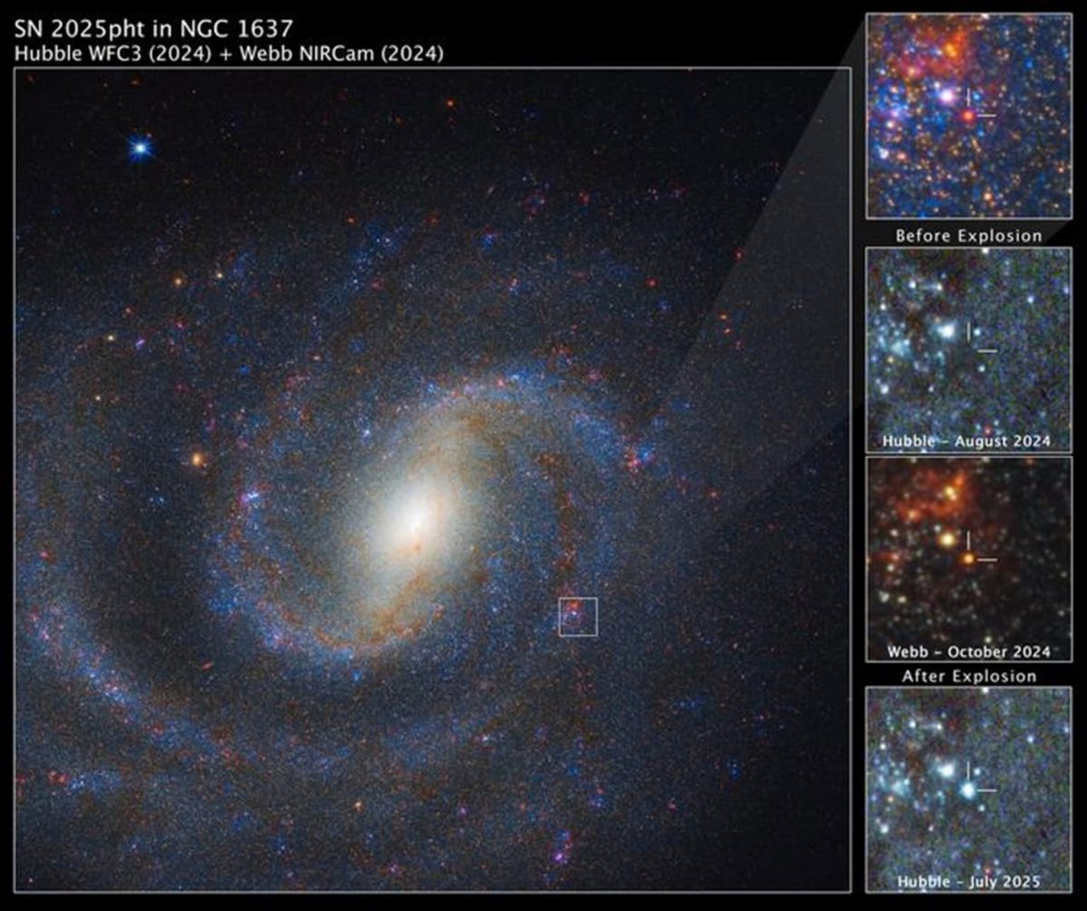 estrela supergigante vermelha