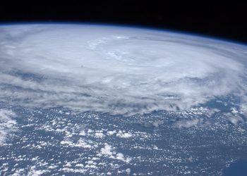 Imagem ilustrativa de WikiImages por Pixabay