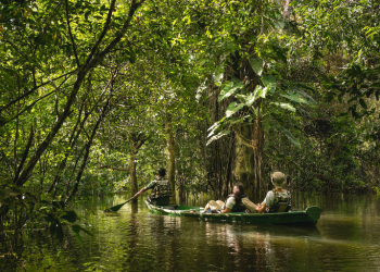 Trilha Amazônica Atlântica