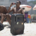 caixa de som praia