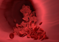 sangue, tipo sanguíneo