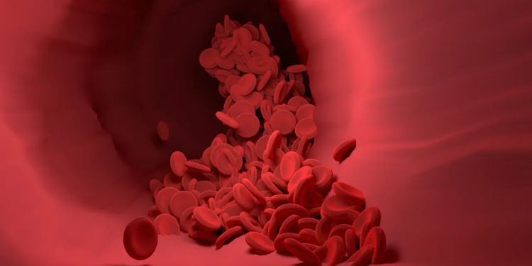 sangue, tipo sanguíneo