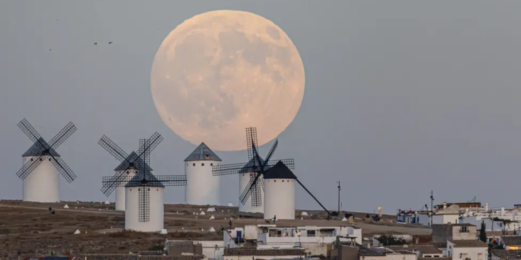 Harvest Moon