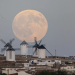 Harvest Moon